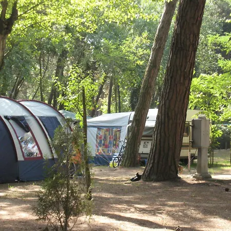 Kamp alanı Piomboni Village *