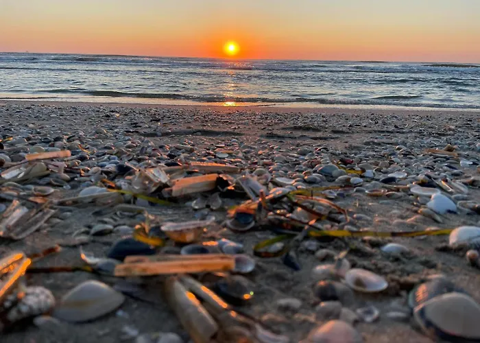 Camping Piomboni Village Marina di Ravenna